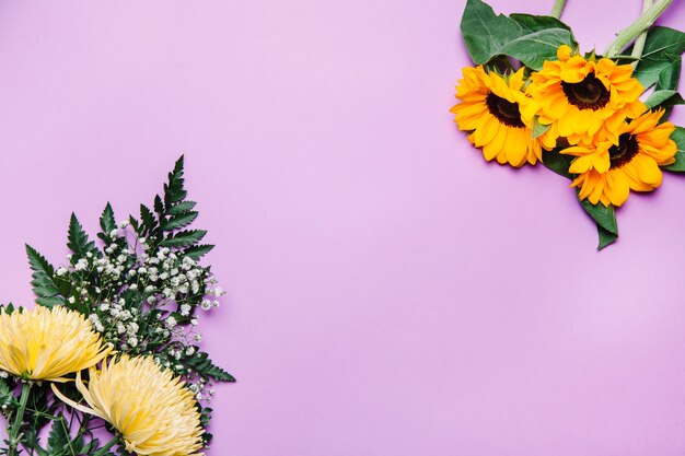 Fond avec des tournesols et des fleurs sauvages