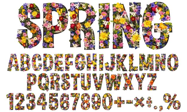 Fonte de fleur un alphabet de printemps à partir de vraies fleurs vivantes avec un fond blanc