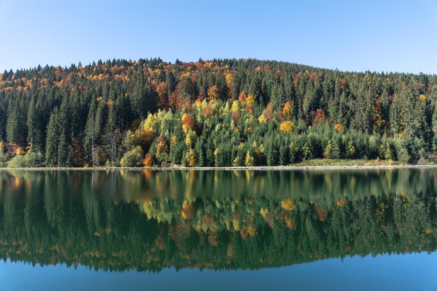 Forêt d'automne et lac dans un fond naturel de région montagneuse