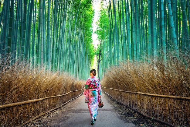Foret de bambou. Femme asiatique portant un kimono traditionnel japonais à la forêt de bambous à Kyoto, au Japon.