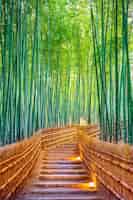 Photo gratuite forêt de bambous à kyoto, japon.