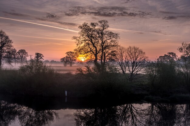 Forêt incroyable et coucher de soleil