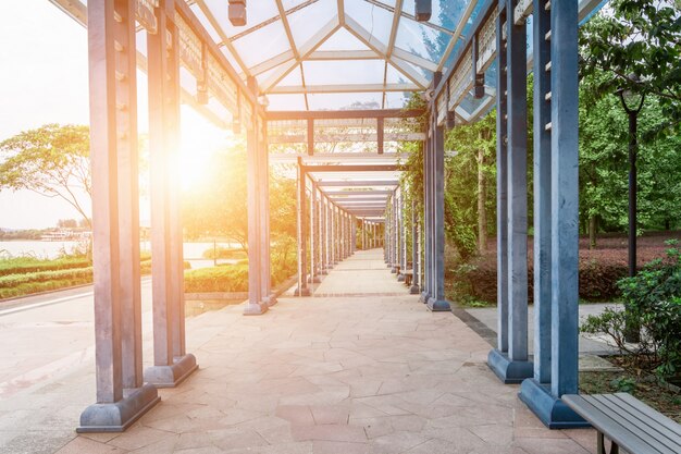 forêt luxuriante bois paysager belle