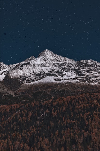 Forêt et montagne couverte de neige