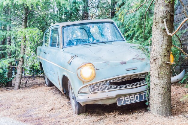 Forêt avec une voiture abandonnée