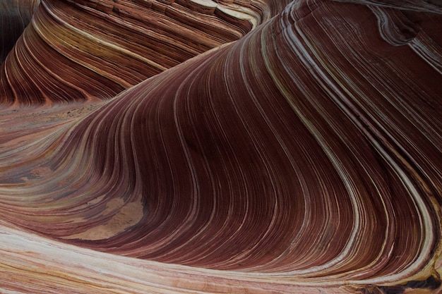 Formations rocheuses de grès de vague en Arizona, États-Unis