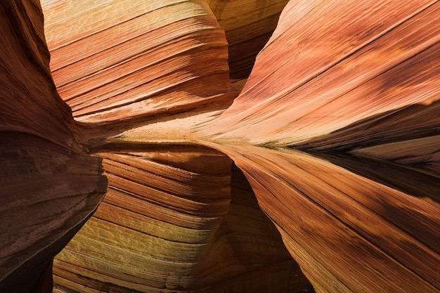 Formations rocheuses de grès de vague en Arizona, États-Unis