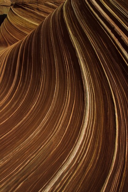 Formations rocheuses de grès de vague en Arizona, États-Unis