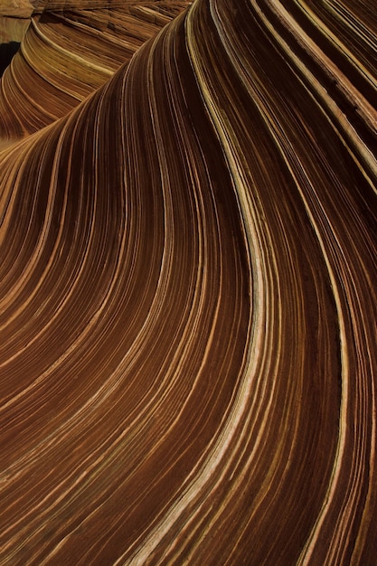 Formations rocheuses de grès de vague en Arizona, États-Unis