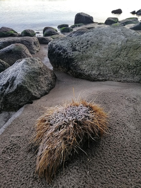 Photo gratuite formations rocheuses sur la plage de stavern, norvège