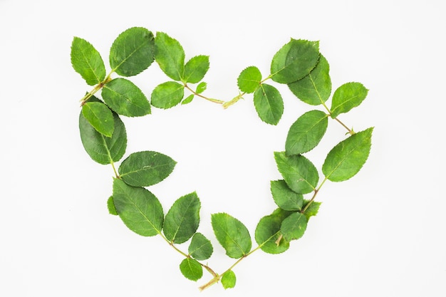 Photo gratuite en forme de cœur avec des feuilles vertes sur fond blanc