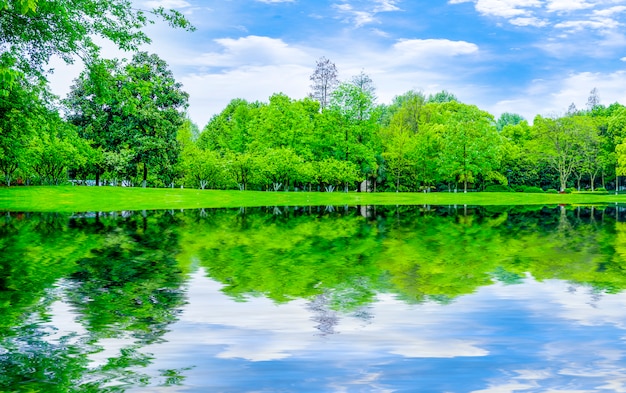 Photo gratuite forme montagne jardin campagne extérieur lacs