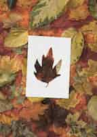 Photo gratuite formes d'automne avec concept de feuilles