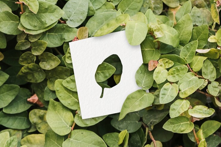 Photo gratuit formes d'automne avec concept de feuilles