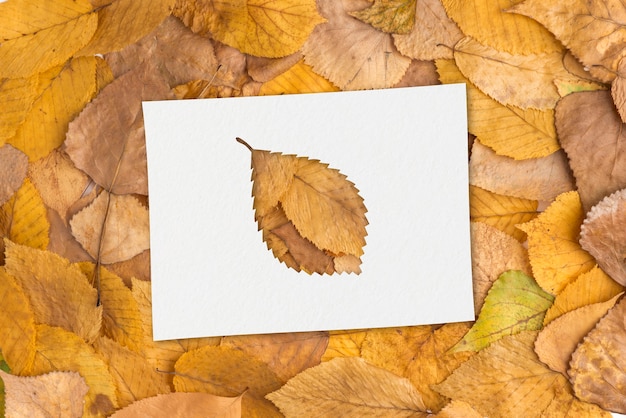 Photo gratuite formes d'automne avec concept de feuilles