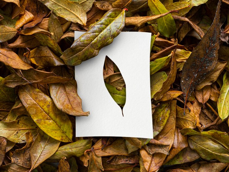 Photo gratuit formes d'automne avec concept de feuilles