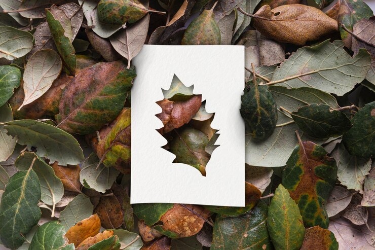 Photo gratuit formes d'automne avec concept de feuilles