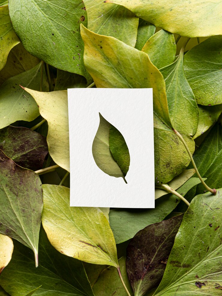 Photo gratuit formes d'automne avec concept de feuilles
