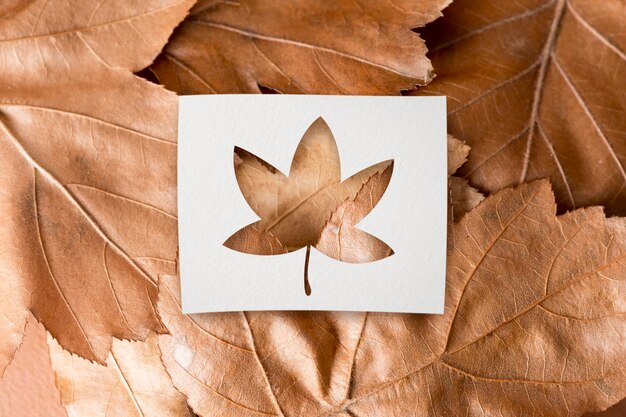 Photo gratuite formes d'automne avec concept de feuilles