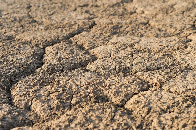 Foyer sélectif de la terre fissurée sèche en raison de la sécheresse en Europe terre sans crise de sécheresse de l'eau été extrêmement chaud rivières asséchées