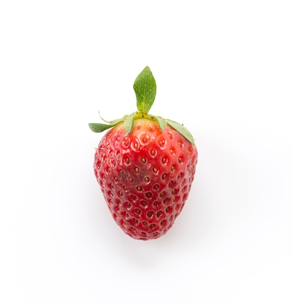 Fraise fraise