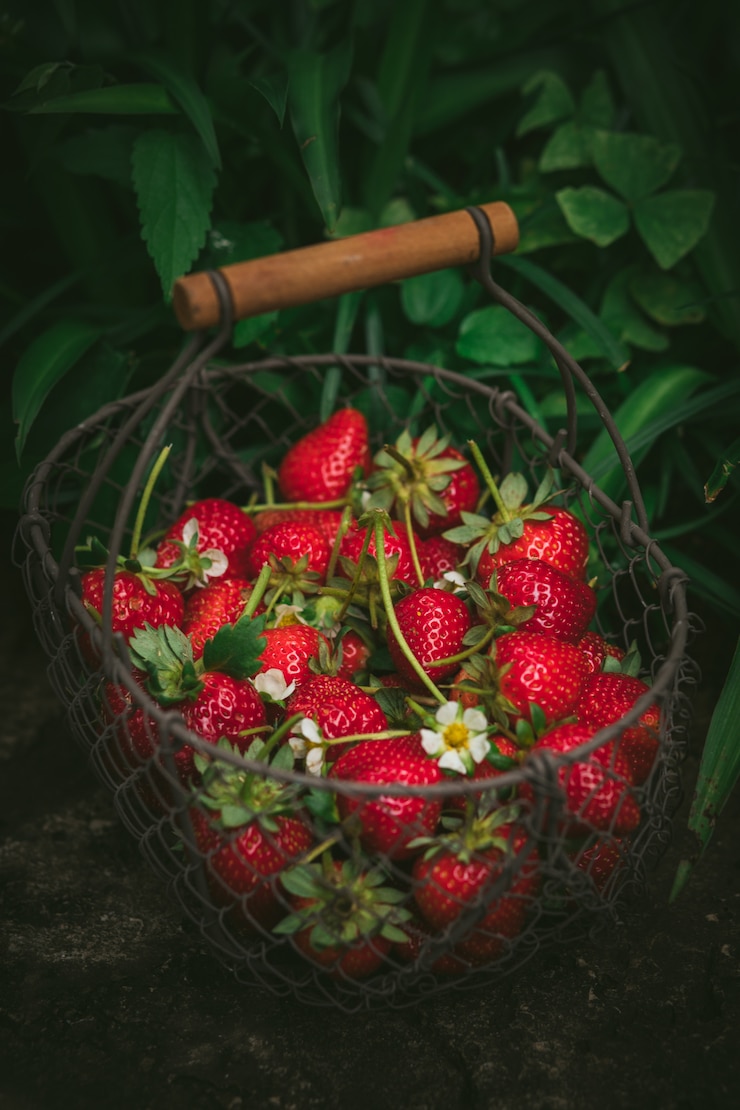 Photo gratuit fraises, métal, panier
