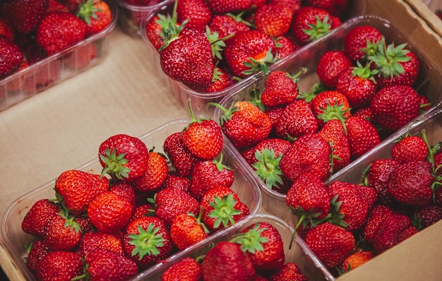 Fraises mûres juteuses sur le comptoir du supermarché