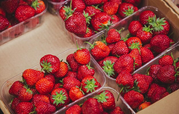 Fraises mûres juteuses sur le comptoir du supermarché