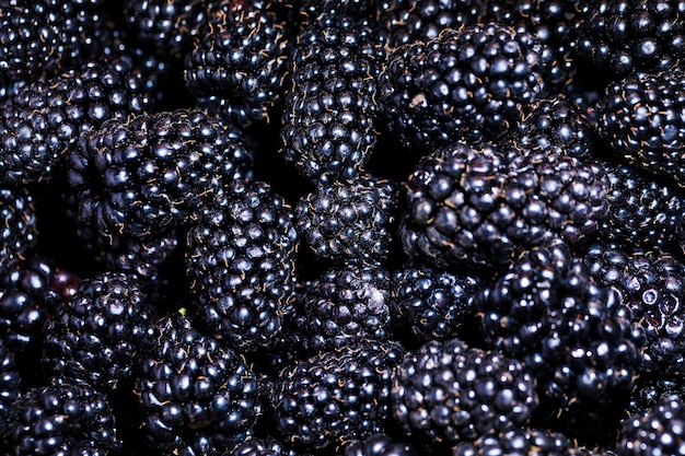 Framboise biologique et nutritive sur le marché