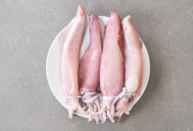 Photo gratuite fresh squid