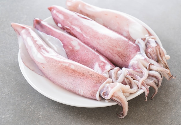 Photo gratuite fresh squid