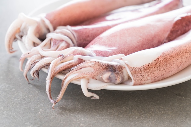 Photo gratuite fresh squid