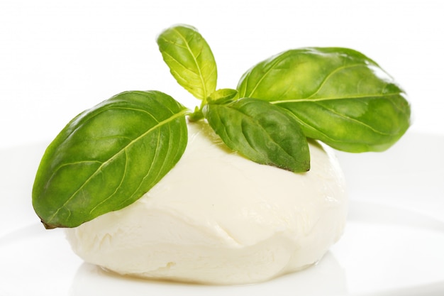 Photo gratuite fromage mozarella blanc aux feuilles de menthe