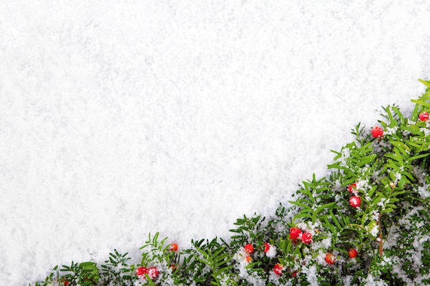 Photo gratuite frontière avec l'arbre de noël sur la neige