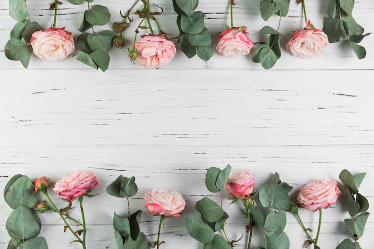 Photo gratuit frontière faite avec des roses roses et des feuilles sur un fond en bois blanc