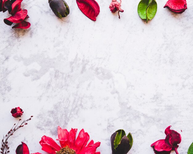 Frontière fleurs séchées et pétales sur fond de granit blanc avec espace de copie de texte