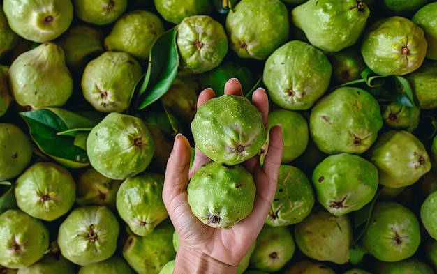 Photo gratuite fruit de goyave à la nature morte