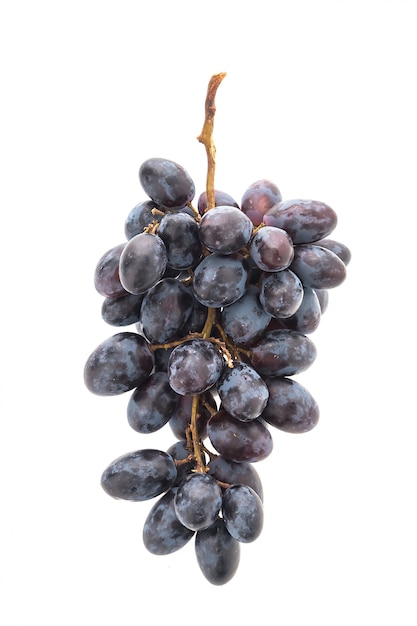 Photo gratuite fruit naturel moisson vigne saine
