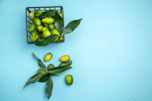 fruits les agrumes appétissants avec des feuilles dans le panier gris