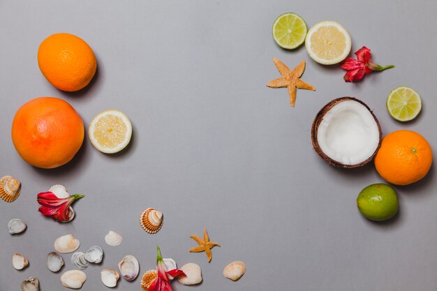 Fruits, coquillages et fleurs d&#39;été