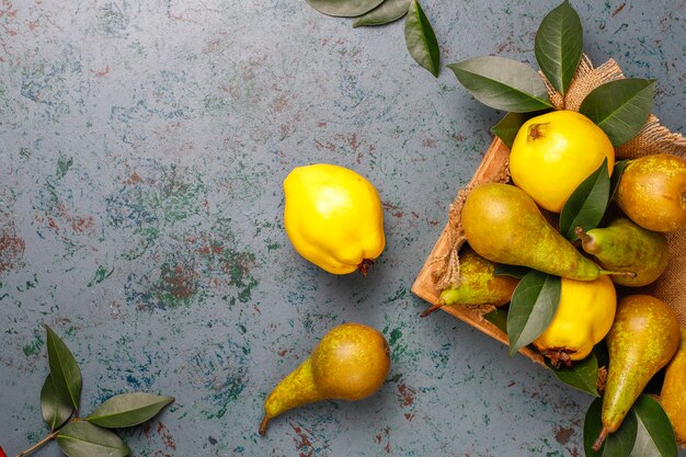 Fruits frais de la ferme biologique, poires, coings, vue de dessus