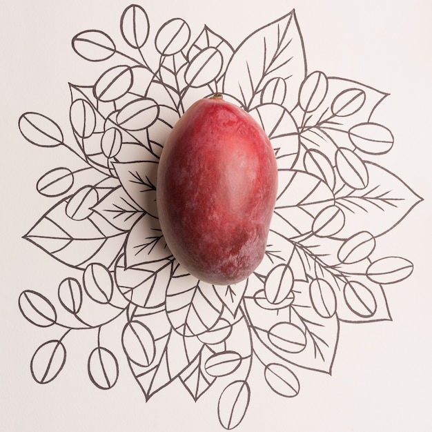 Fruits de mangue sur fond floral contour