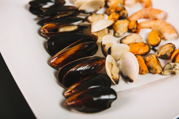 Photo gratuite fruits de mer close-up sur plaque