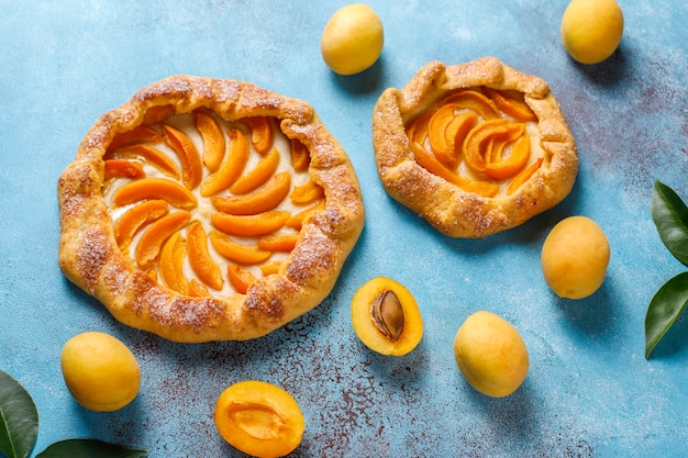 Galettes d'abricots rustiques faites maison avec des fruits d'abricots biologiques frais.