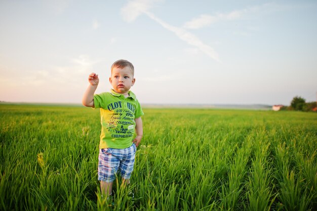 Garçon mignon dans le champ d'herbe verte le soir