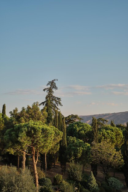 Garez-vous dans les rayons du cadre vertical du soleil couchant l'idée de la conception du parc Parc à l'italienne