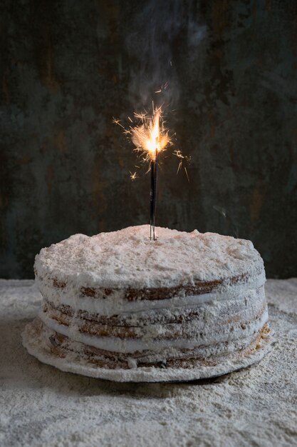 Photo gratuite gâteau d'anniversaire décoré avec sparkler