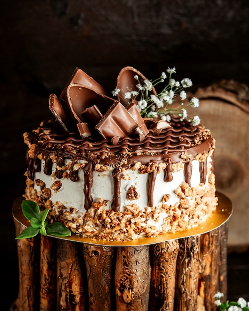 gâteau au chocolat avec noix et crème à tartiner