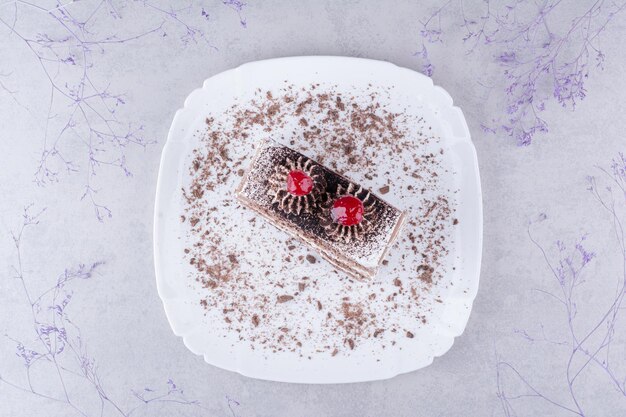 Gâteau au chocolat savoureux sur plaque blanche.