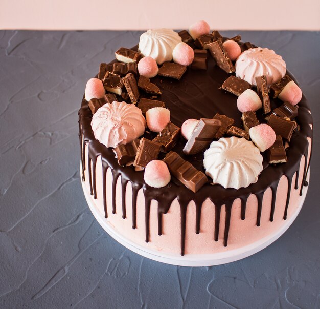 Gâteau aux biscuits avec des gouttes de chocolat